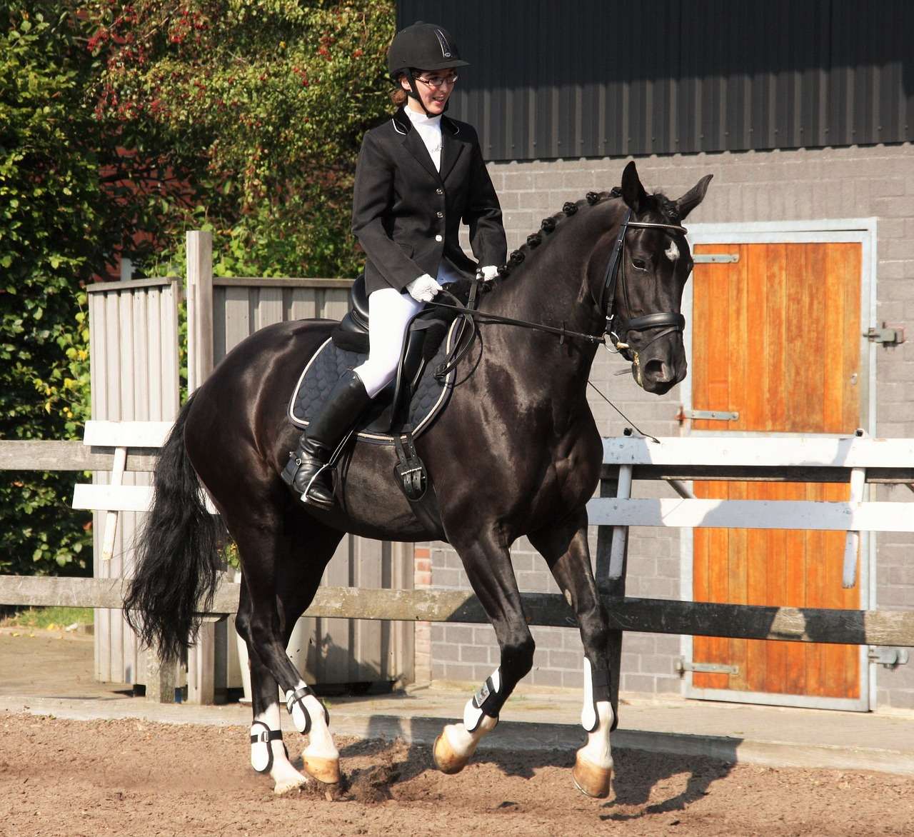 dressage, equestrian, rider-1308564.jpg