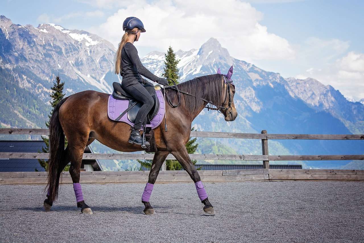 horse, girl, riding lessons-6123173.jpg