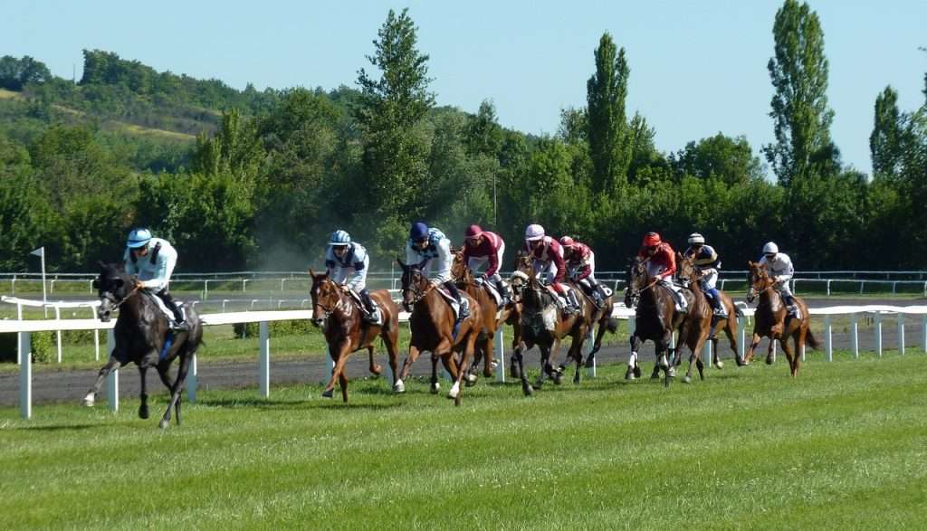 horse race, hippodrome, horses-1665688.jpg